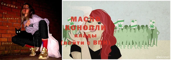 крисы Новодвинск