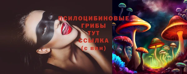 крисы Новодвинск