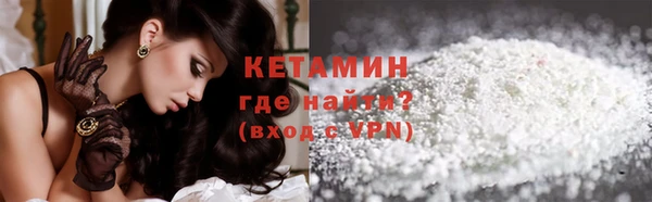 крисы Новодвинск