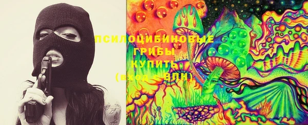 крисы Новодвинск