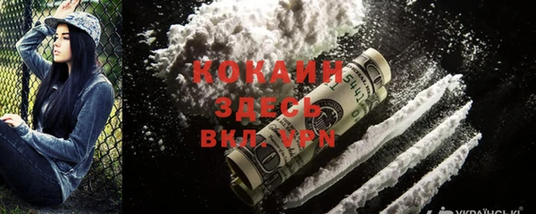 крисы Новодвинск