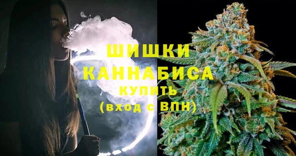 крисы Новодвинск