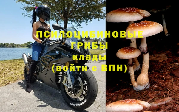 круглые Новозыбков