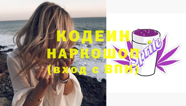 крисы Новодвинск