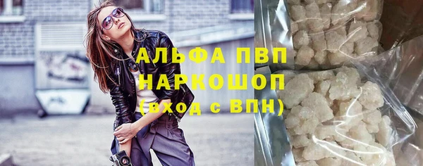 крисы Новодвинск