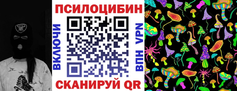 Купить закладки  Севск  Псилоцибиновые грибы GOLDEN TEACHER 