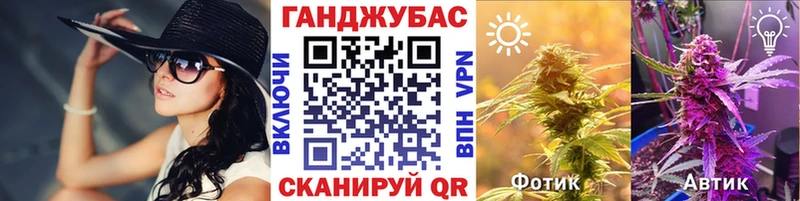 Купить где  Севск  МАРИХУАНА конопля 